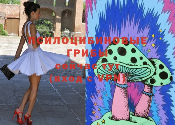 spice Горнозаводск