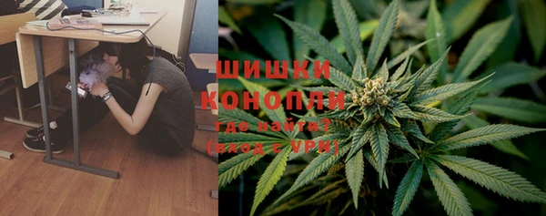 spice Горнозаводск