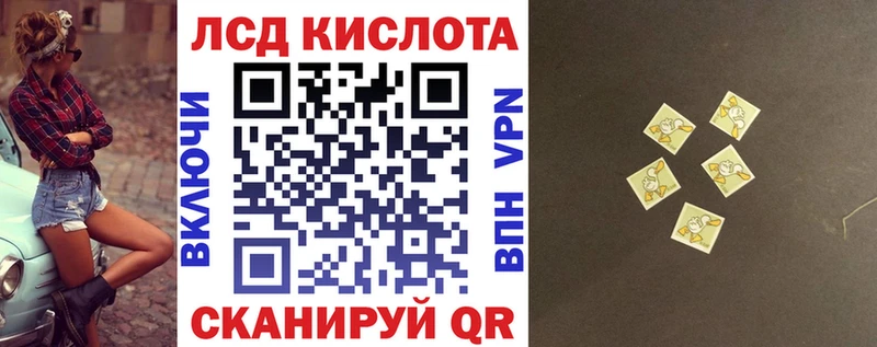 Марки N-bome 1,8мг  гидра маркетплейс  Тайга  как найти закладки 